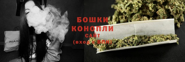шишки Беломорск