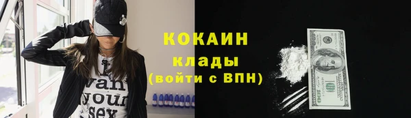 шишки Беломорск