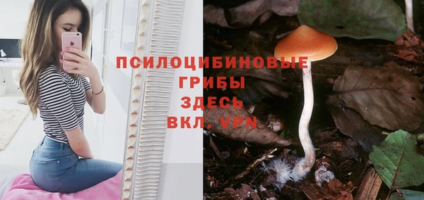 шишки Беломорск