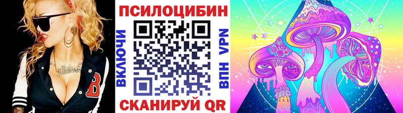 купить  сайты  Елабуга  Галлюциногенные грибы мицелий 