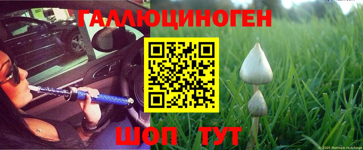 Галлюциногенные грибы MAGIC MUSHROOMS  Вход с VPN  Елабуга 