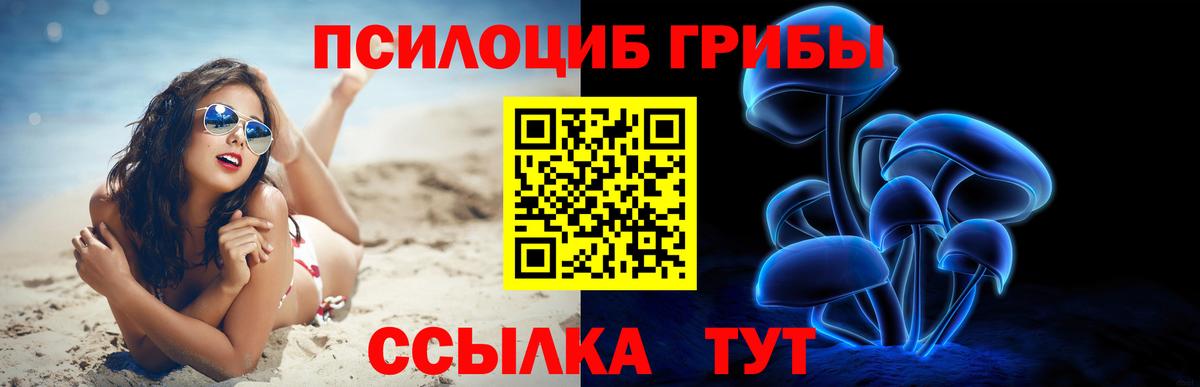 Псилоцибиновые грибы Psilocybine cubensis  Галлюциногенные грибы Psilocybe  Елабуга 